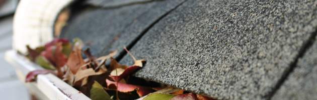 Tips for cleaning your gutters